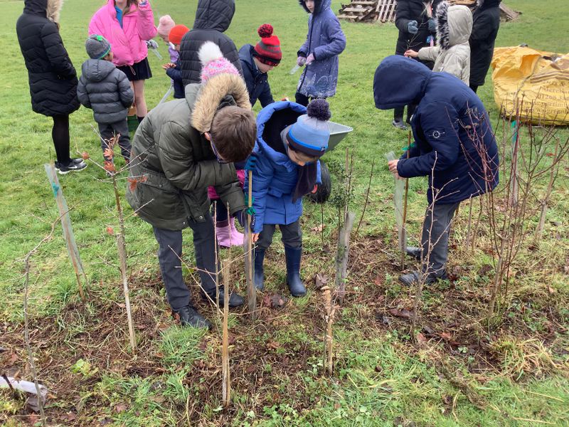Forest School & Outdoor Learning – Engayne Primary School